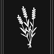 T & J Customs - Logo