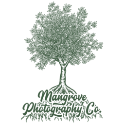 Mangrove Photography Co. - Logo