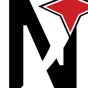 Northstar Real Estate Associates - Logo