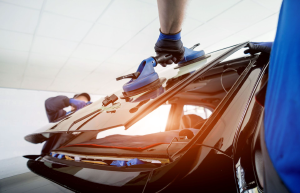Bearcreek Auto Glass - Logo